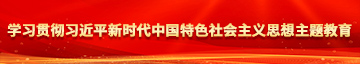 中国操逼网学习贯彻习近平新时代中国特色社会主义思想主题教育